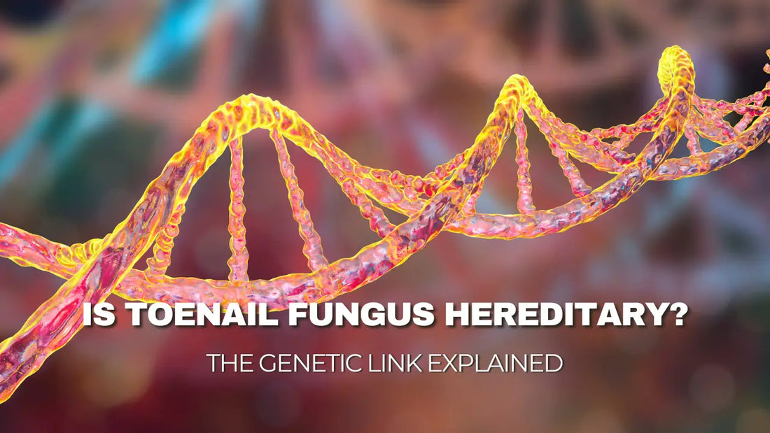 The Genetic Link Explained